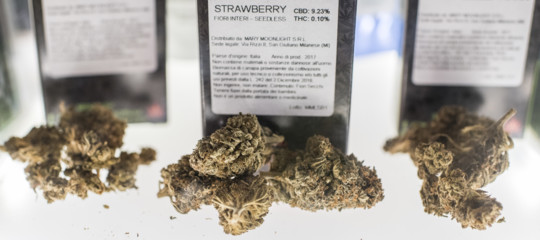 sequestri cannabis light