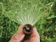 L’importanza dei sistemi di irrigazione per il giardino di casa