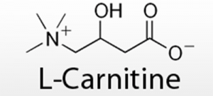 carnitina