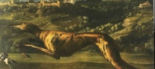 Come sono stati rappresentati i cani nella storia dell'arte. Una mostra 