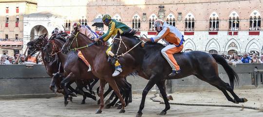 Palio di Siena: Vince la Tartuca con Remorex, il cavallo Raoul finisce in ospedale