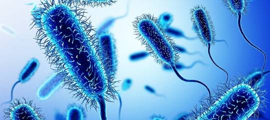 Batterio killer: La Regione Veneto scrive a 10 mila pazienti a rischio