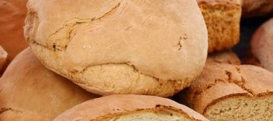 pane camorra