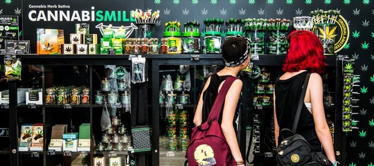 cannabis light cassazione