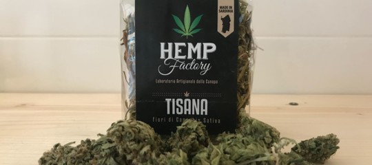 cassazione cannabis light reato