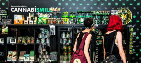 salvini chiusura negozi cannabis