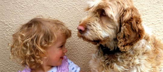 giornata del cane film romanzi