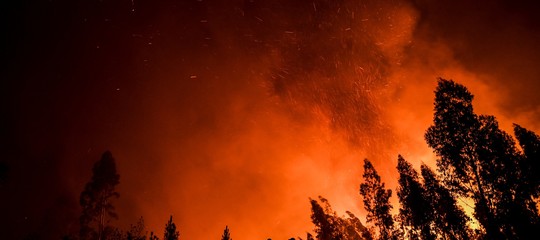 numero incendi mondo