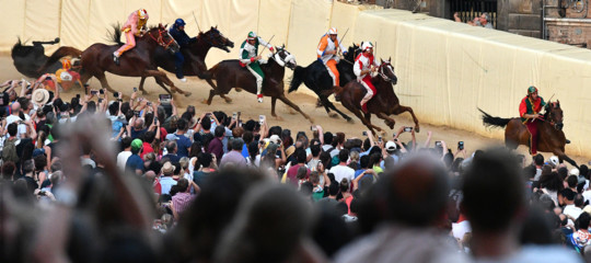 palio siena cavallo selva