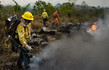 alberi foreste amazzonia cambiamenti climatici