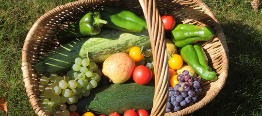 frutta scomparsa