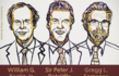 nobel medicina cellule 