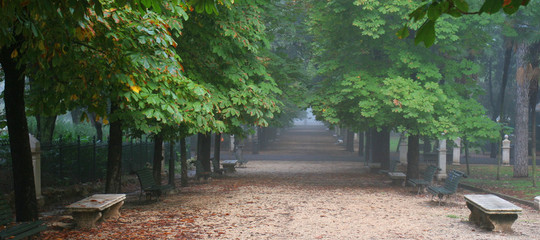 alberi inquinamento verde urbano
