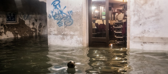 inquinanti acqua laguna venezia