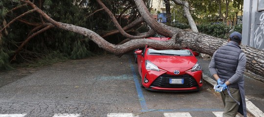 maltempo bufera frane allagamenti alberi