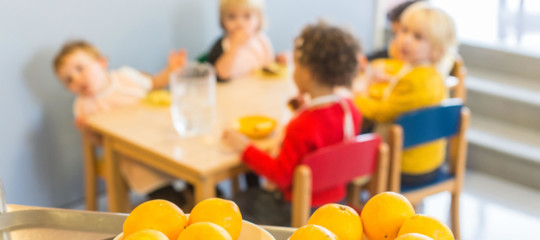 mense Scuola controlli Nas sospesi catering