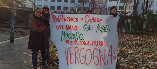 parco campus bassini