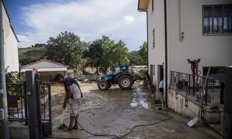 marche alluvione danni agricoltura