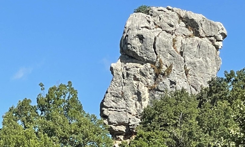 a piedi nella calabria greca tra boschi e fiumare